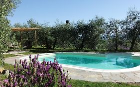 Agriturismo Il Castagnolino
